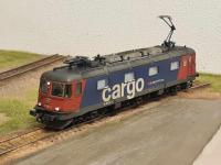 SBB Cargo Re 620 051-3 Dornach-Arlesheim stark verwittert